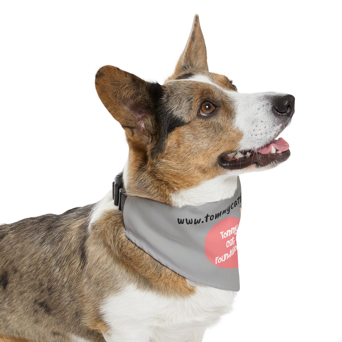 Pet Bandana Collar