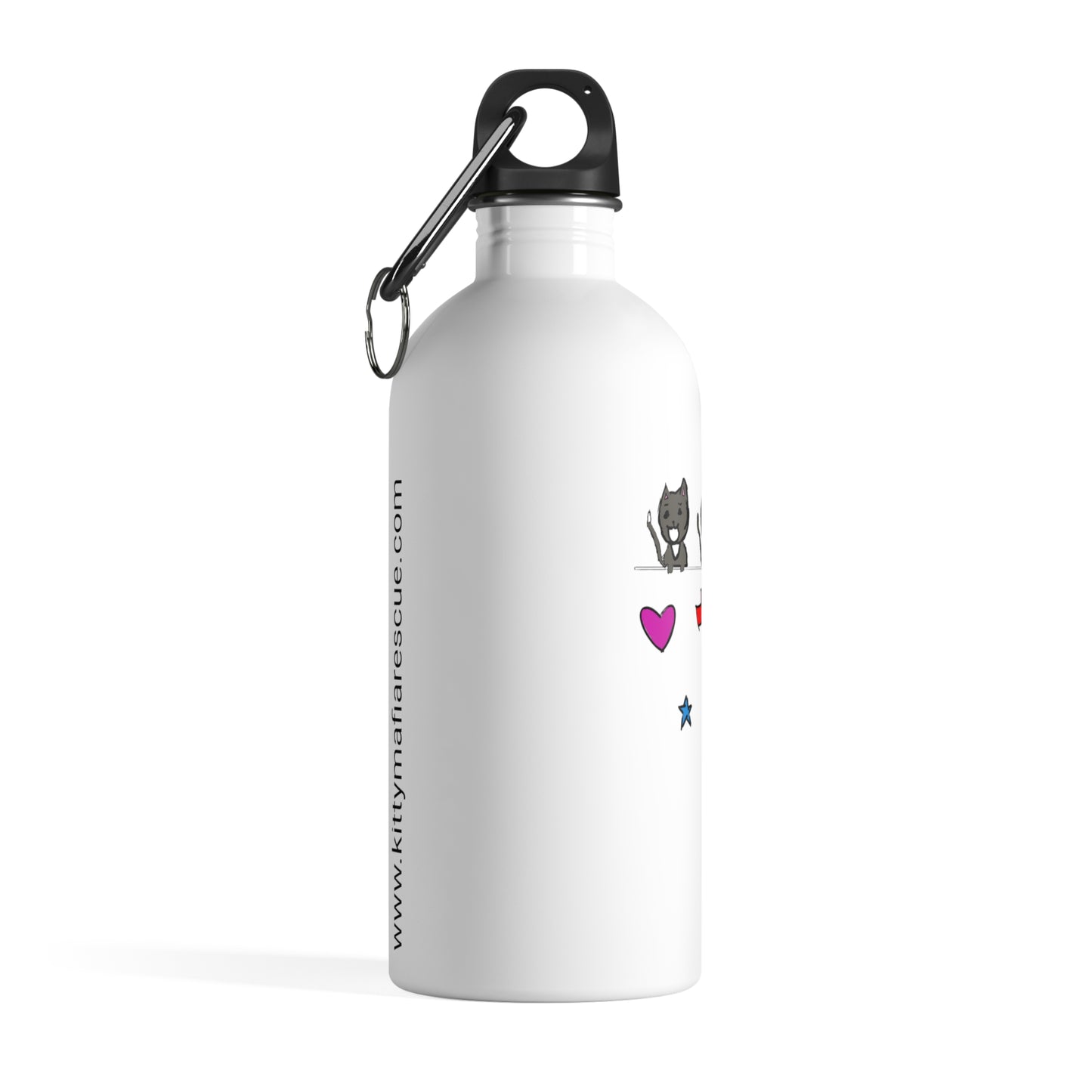 Stainless Steel Water Bottle