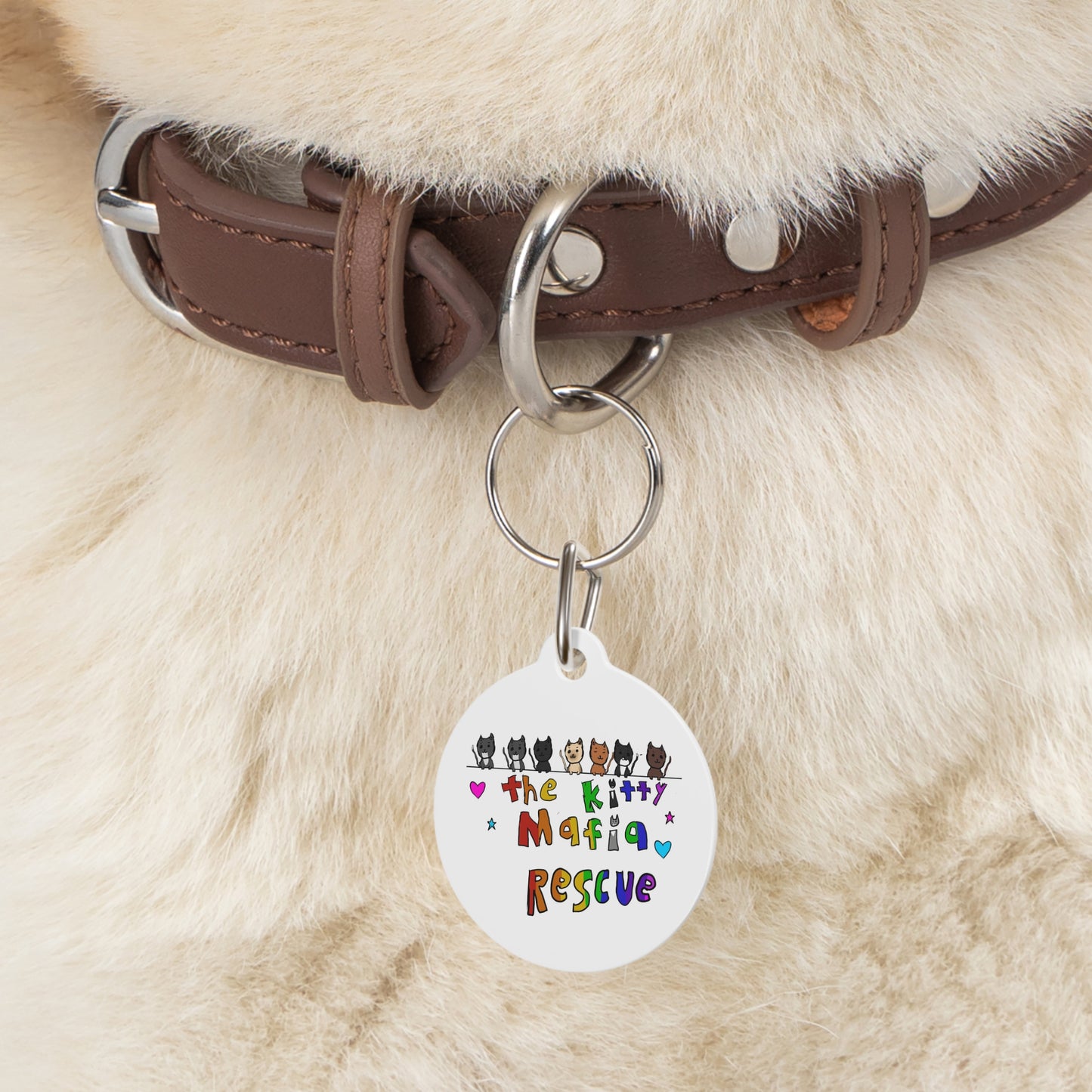 Pet Tag