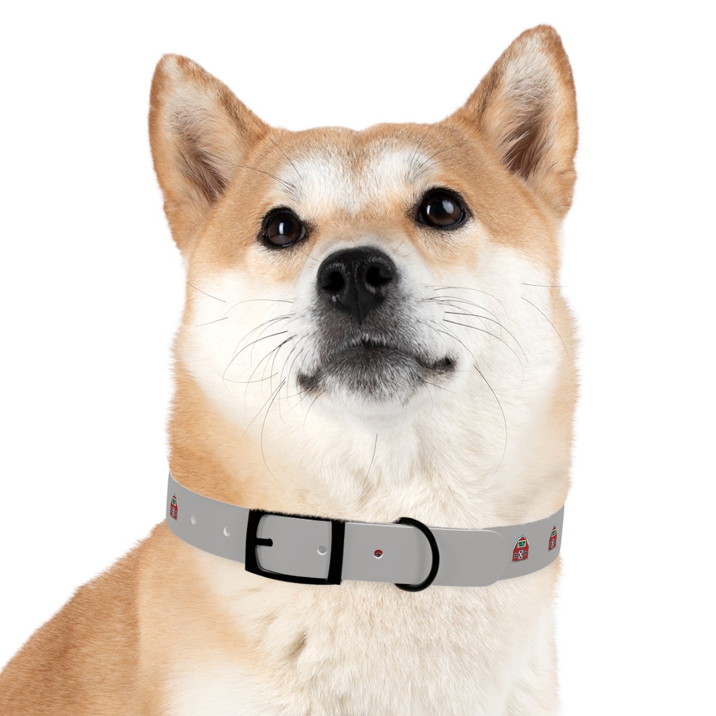 Dog Collar