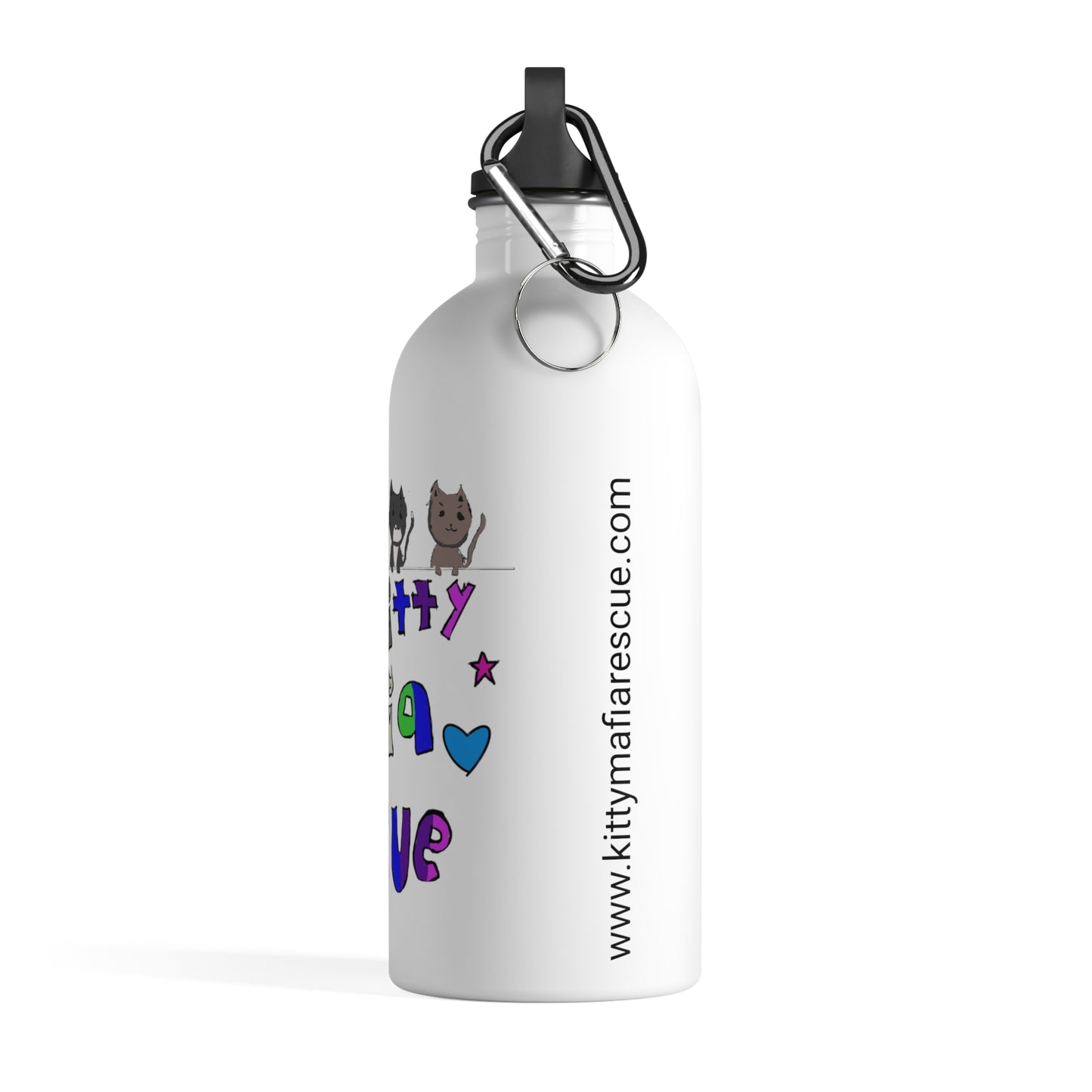 Stainless Steel Water Bottle