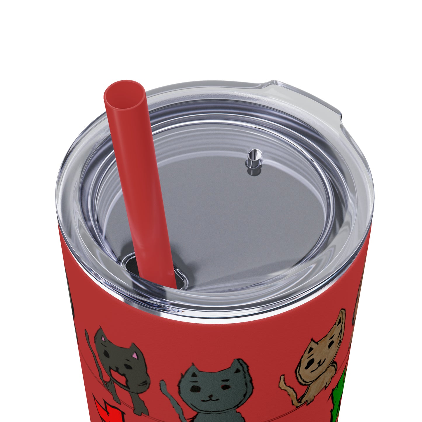 Skinny Tumbler with Straw, 20oz