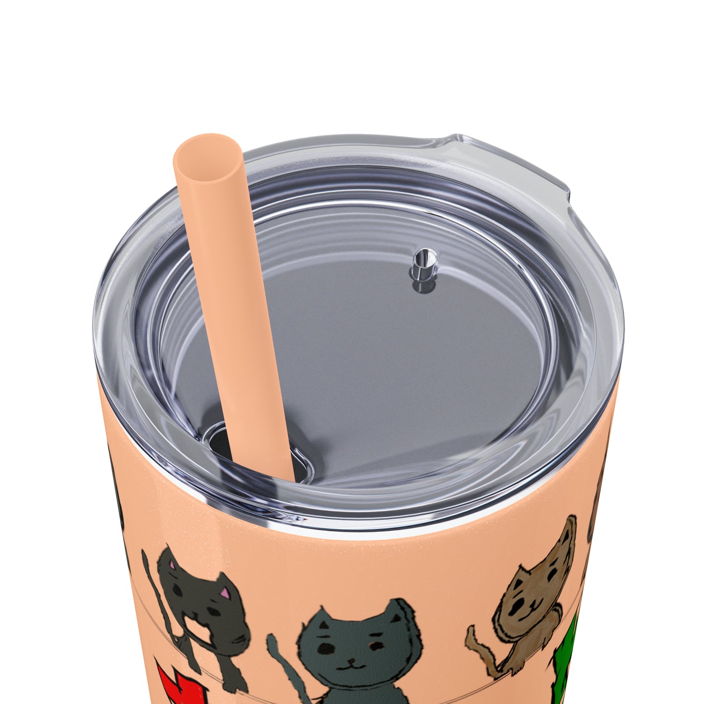 Skinny Tumbler with Straw, 20oz