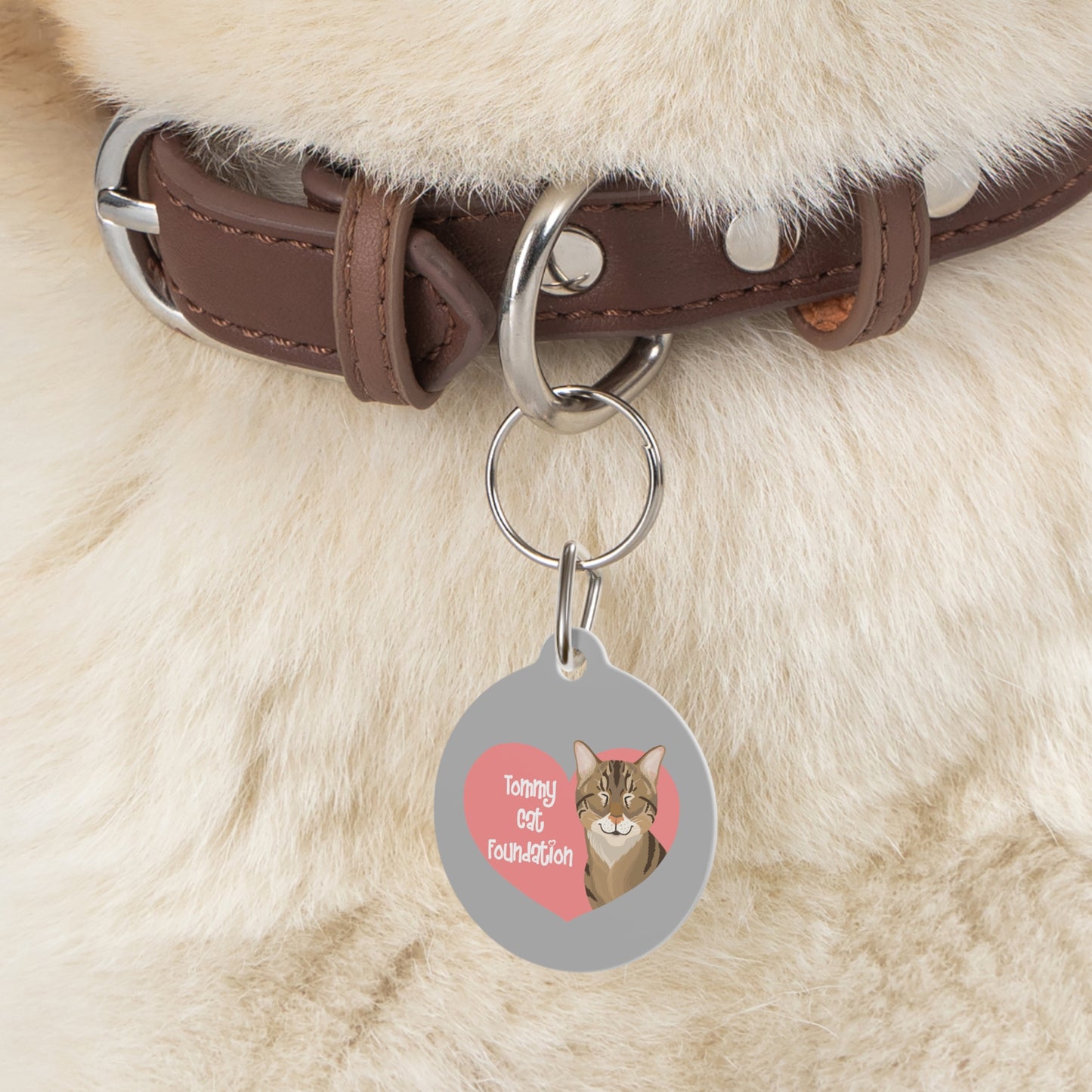 Pet Tag